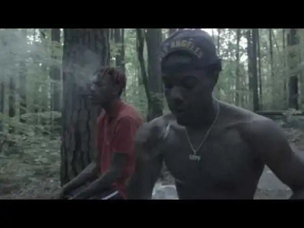 Video: Packtavists - Tree